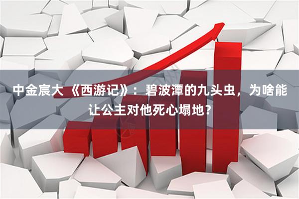中金宸大 《西游记》：碧波潭的九头虫，为啥能让公主对他死心塌地？