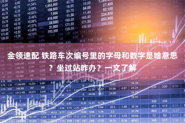 金领速配 铁路车次编号里的字母和数字是啥意思？坐过站咋办？一文了解