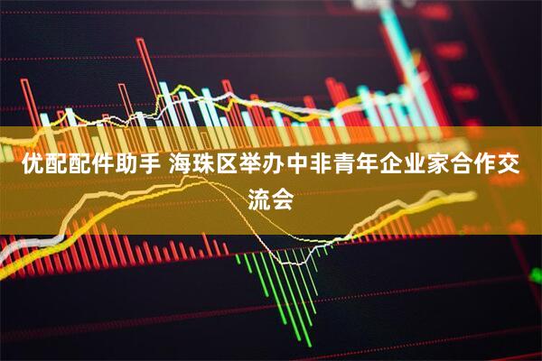 优配配件助手 海珠区举办中非青年企业家合作交流会
